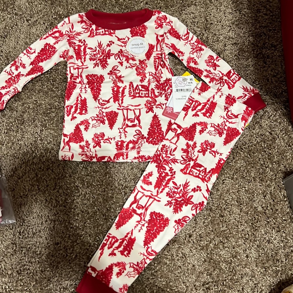 NWT burts bees 100% organic pj set. 12m.